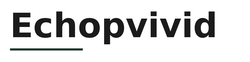 Echopvivid logo